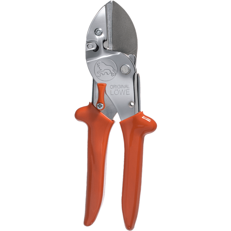 Amboss-Schere in geschlossenem Zustand